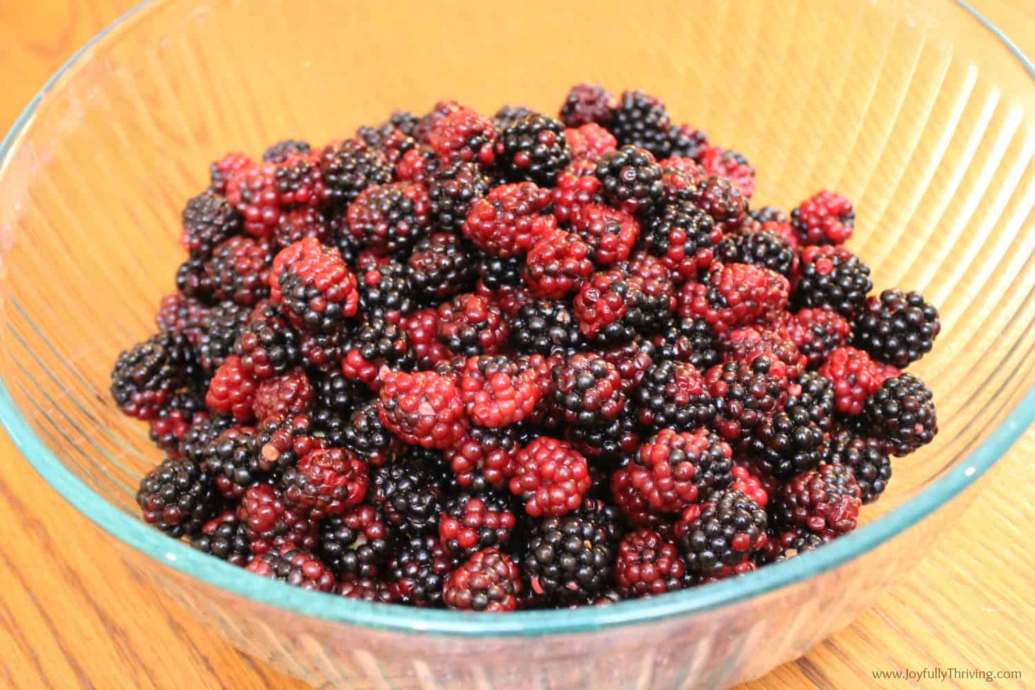 How To Can Blackberry Jam