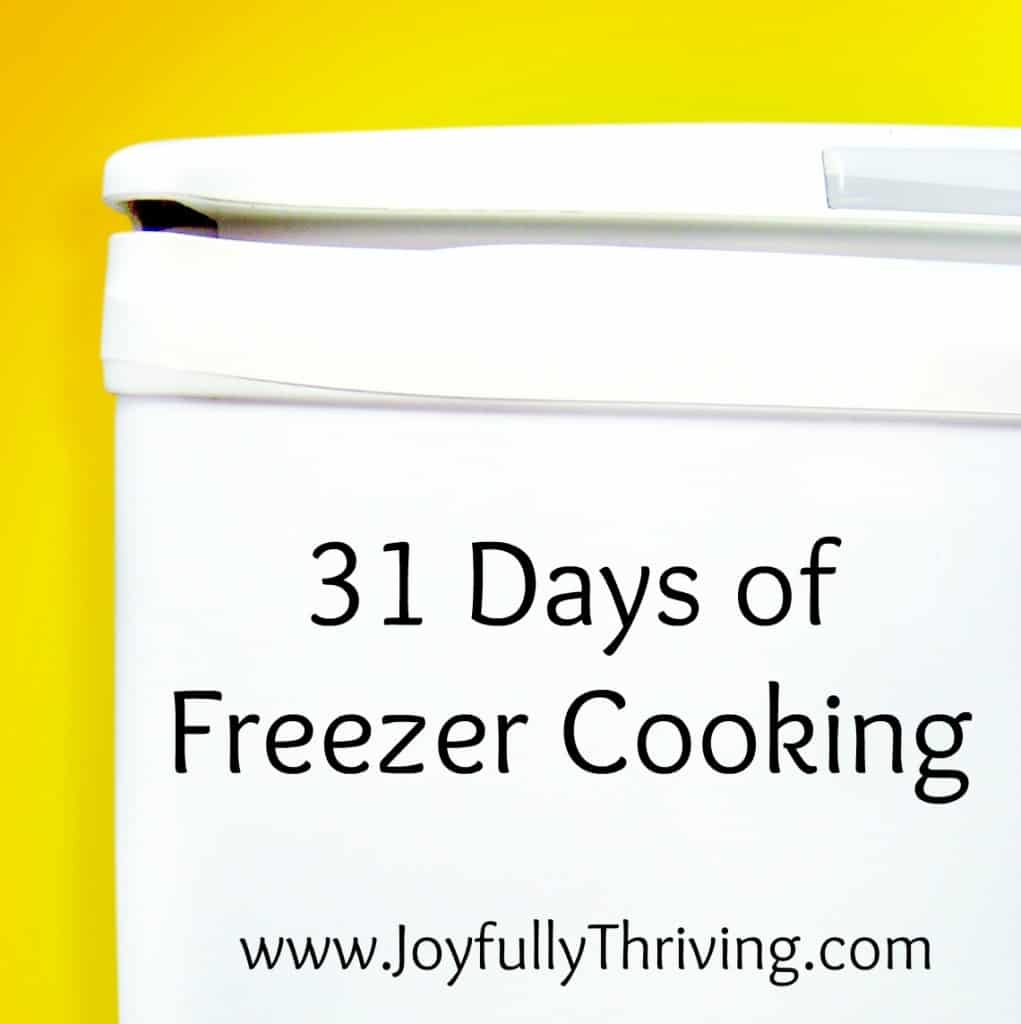 If you are looking for freezer cooking ideas, check out this collection for 31 days of delicious, homemade recipes - all that freeze great! 