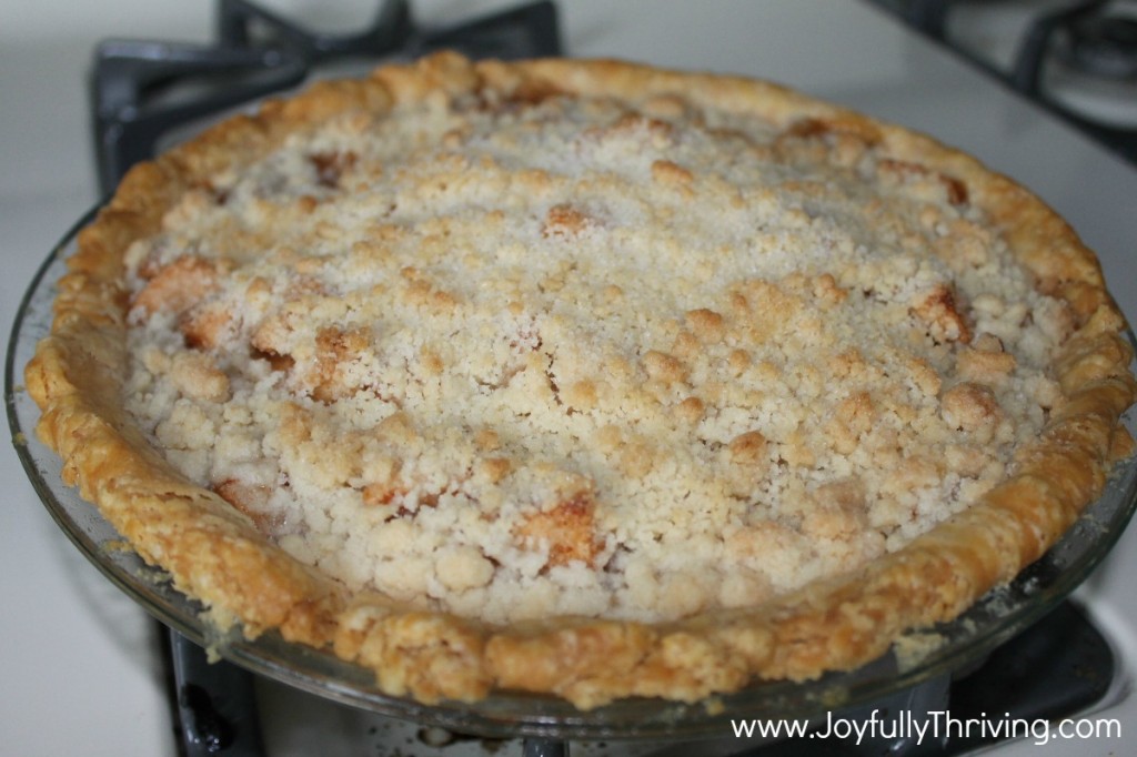 Here's our family favorite apple pie (with crumb topping) recipe. Even better? You can make this ahead of time in the form of apple pie kits for your freezer. Here's how I do it!
