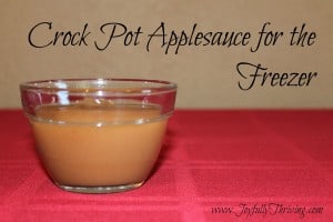 Crock Pot Applesauce - Joyfully Thriving