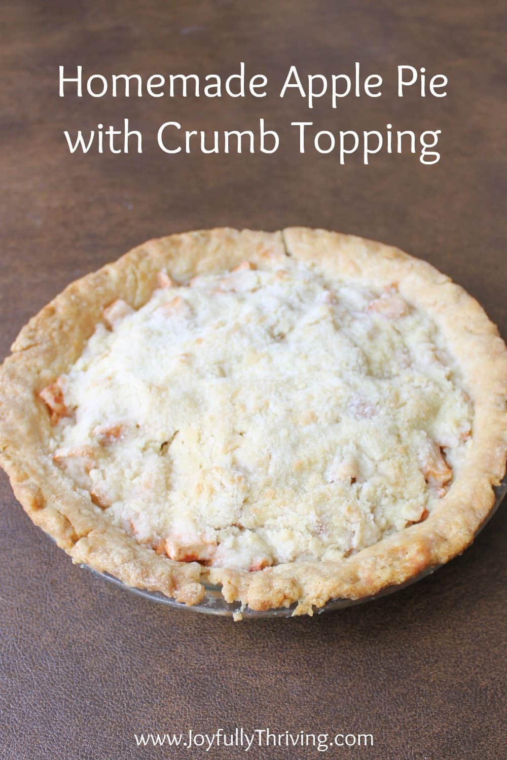 Easy Homemade Apple Pie with Crumb Topping - This is really an easy recipe and the best apple pie I've ever eaten! Plus, you can freeze it which is amazing!