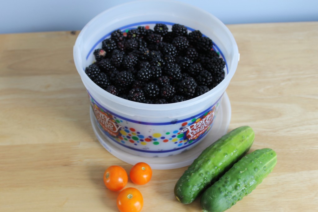 Fresh Garden Blackberries