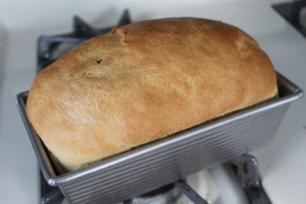 Homemade Bread