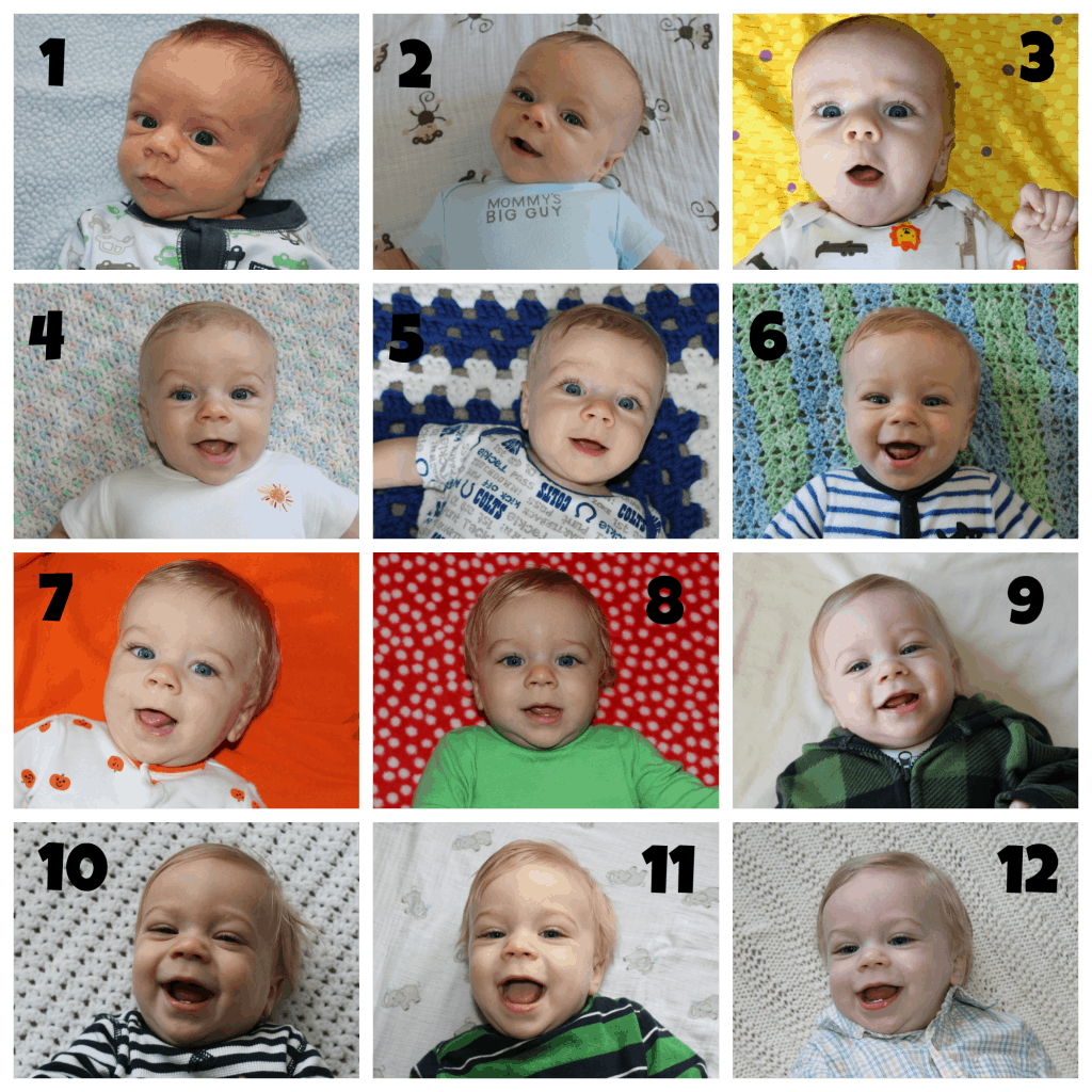 Nathan's 12 Month Collage