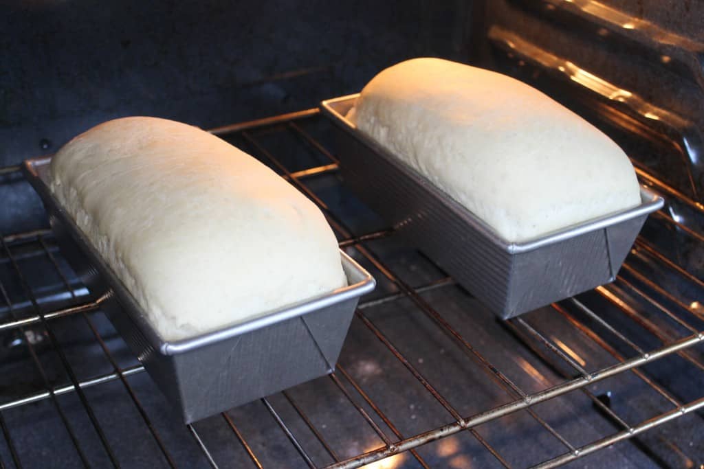 When your loaves have doubled, it's time to bake your bread! Read more bread tips and an easy homemade bread recipe here.