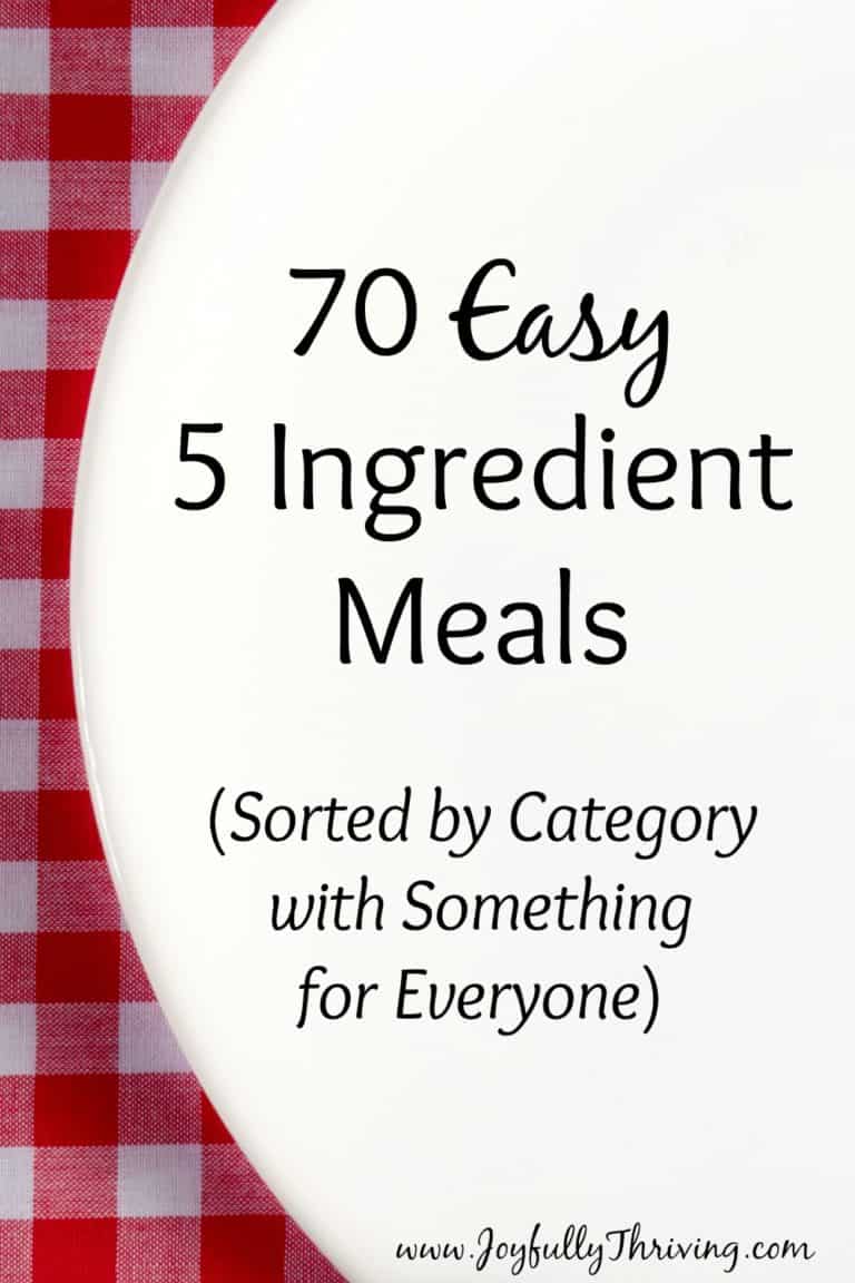 Easy 5 Ingredient Recipes