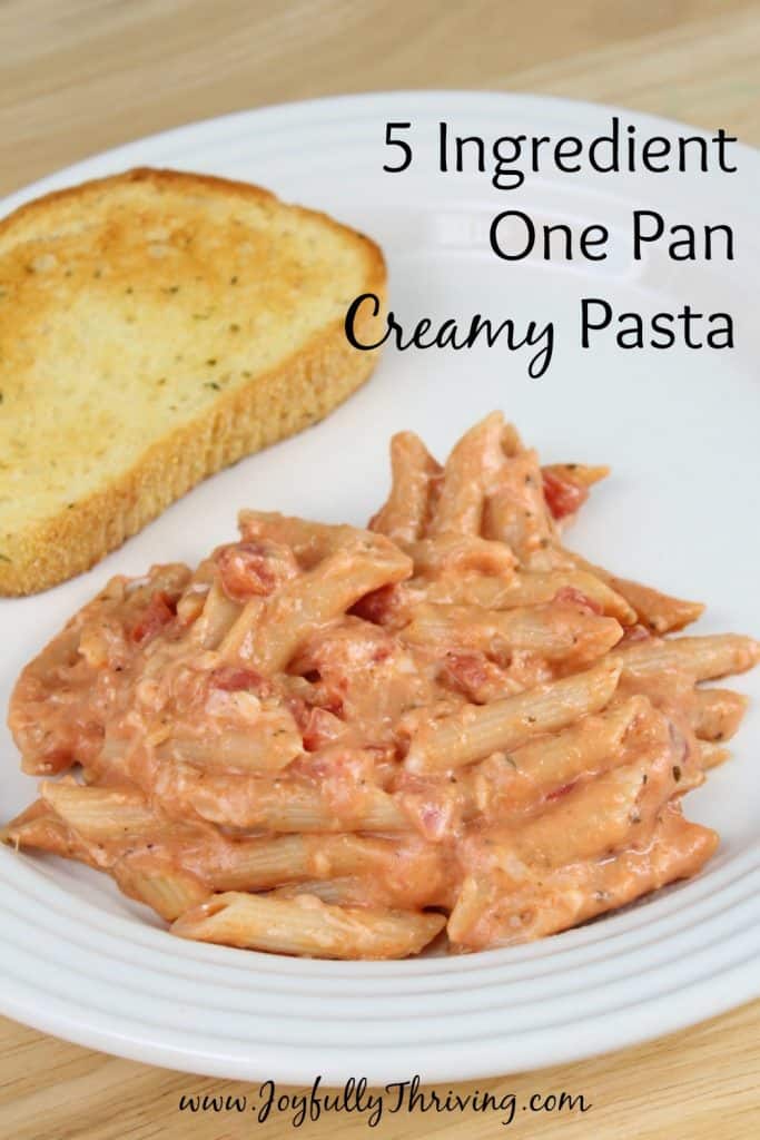 5 Ingredient One Pan Creamy Pasta - I love 10 minute dinner ideas like these!