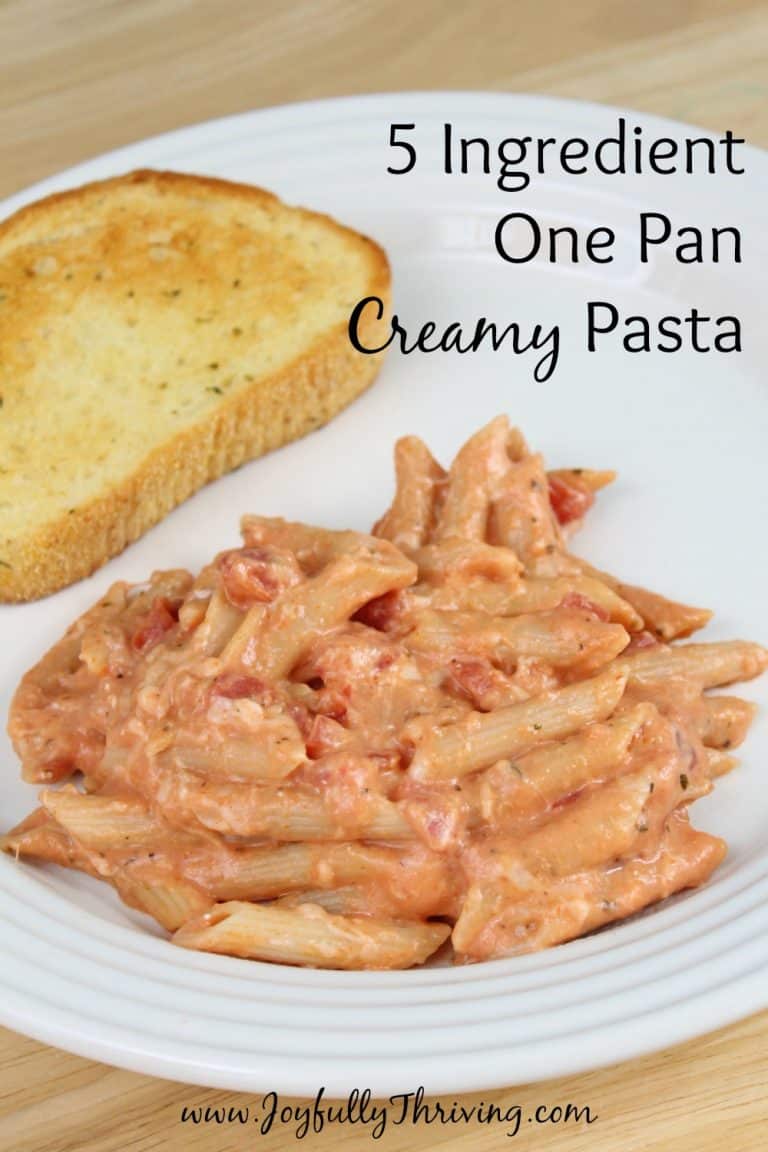 5 Ingredient Creamy One Pan Pasta