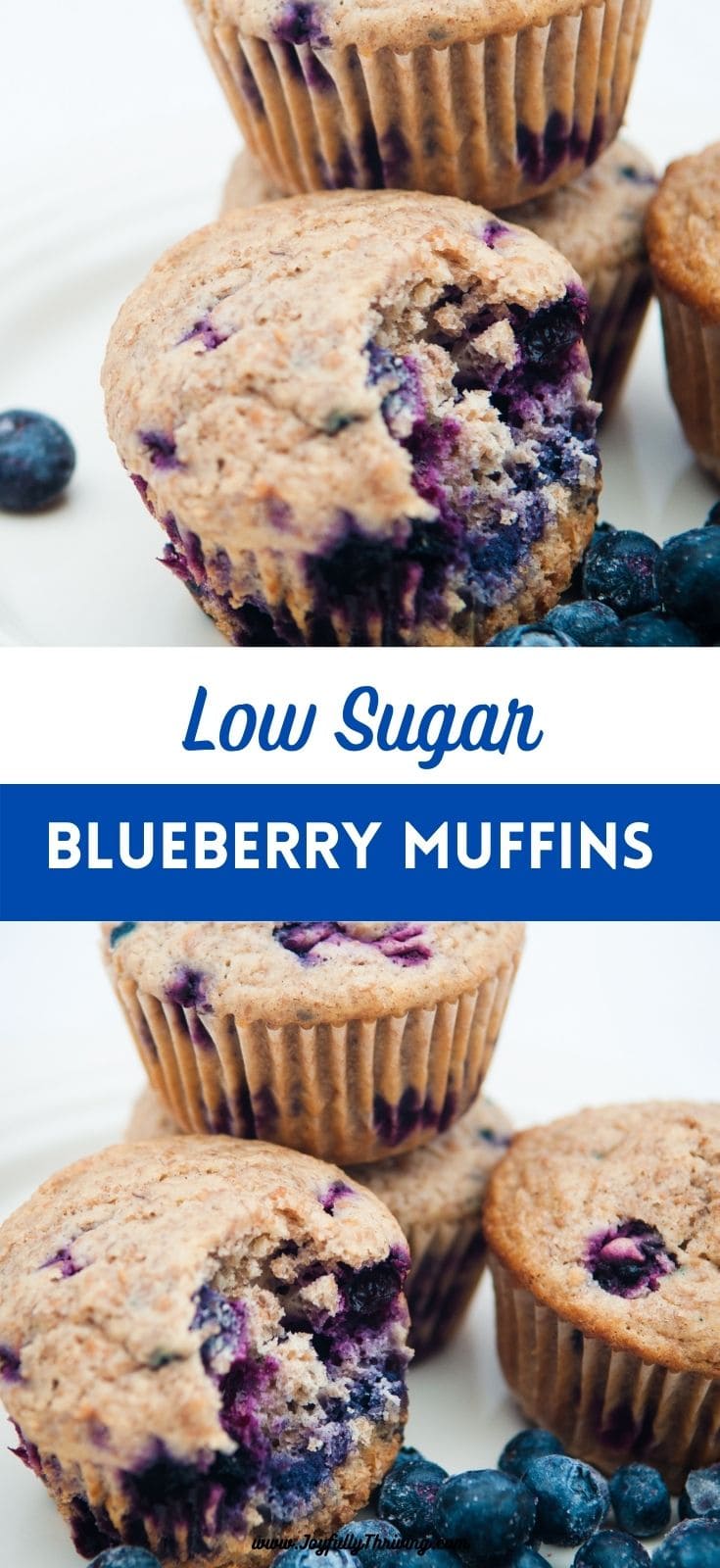 Healthy Blueberry Muffins Recipe Low Sugar Blueberry Muffins You'll Love