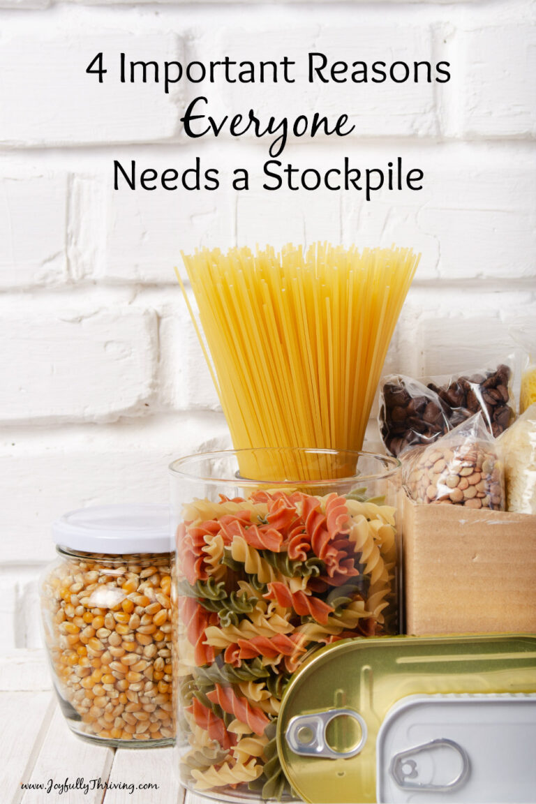 4 Important Reasons Everyone Needs a Stockpile