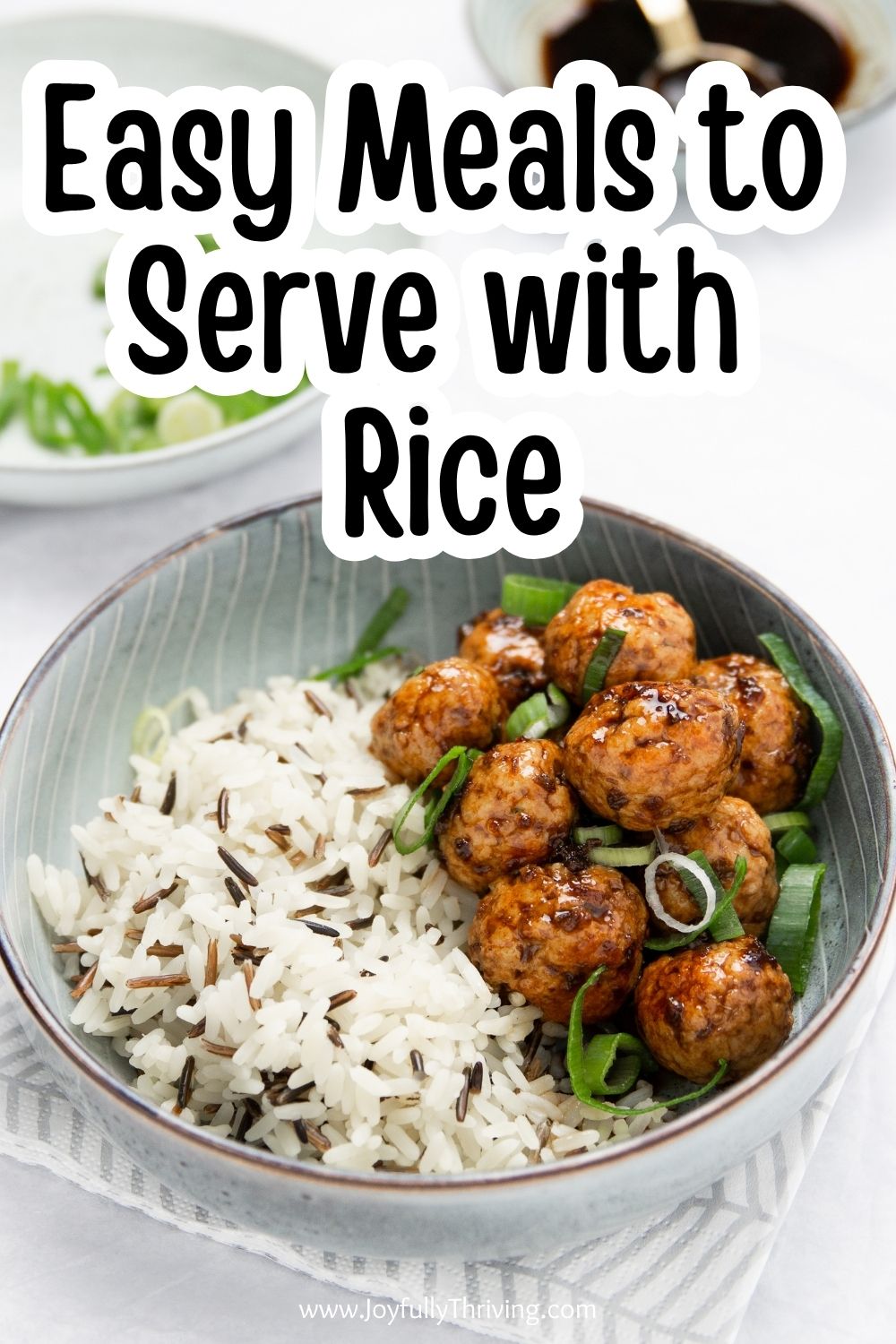 meatballs and rice in a bowl for dinner
