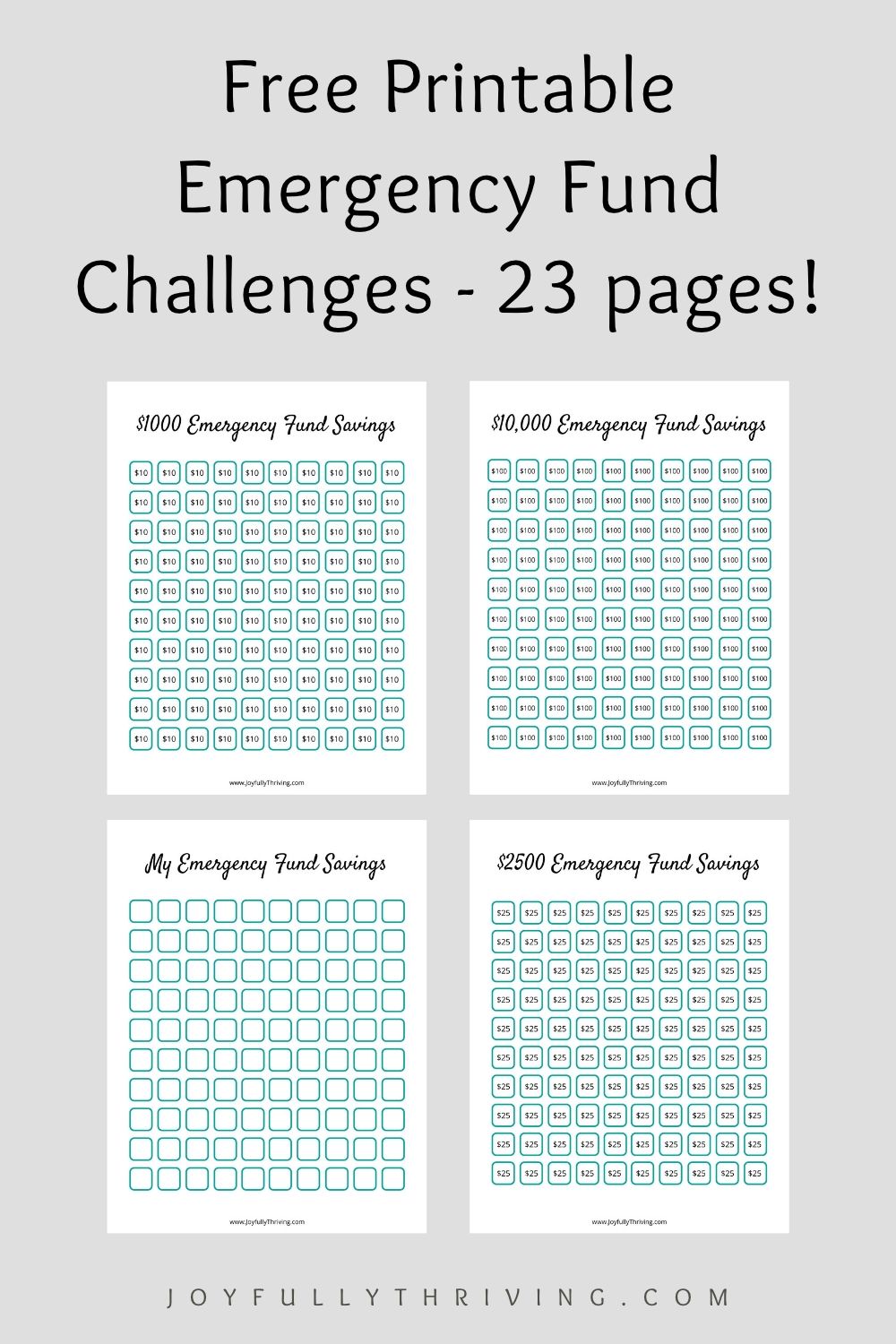 Emergency Fund Challenges