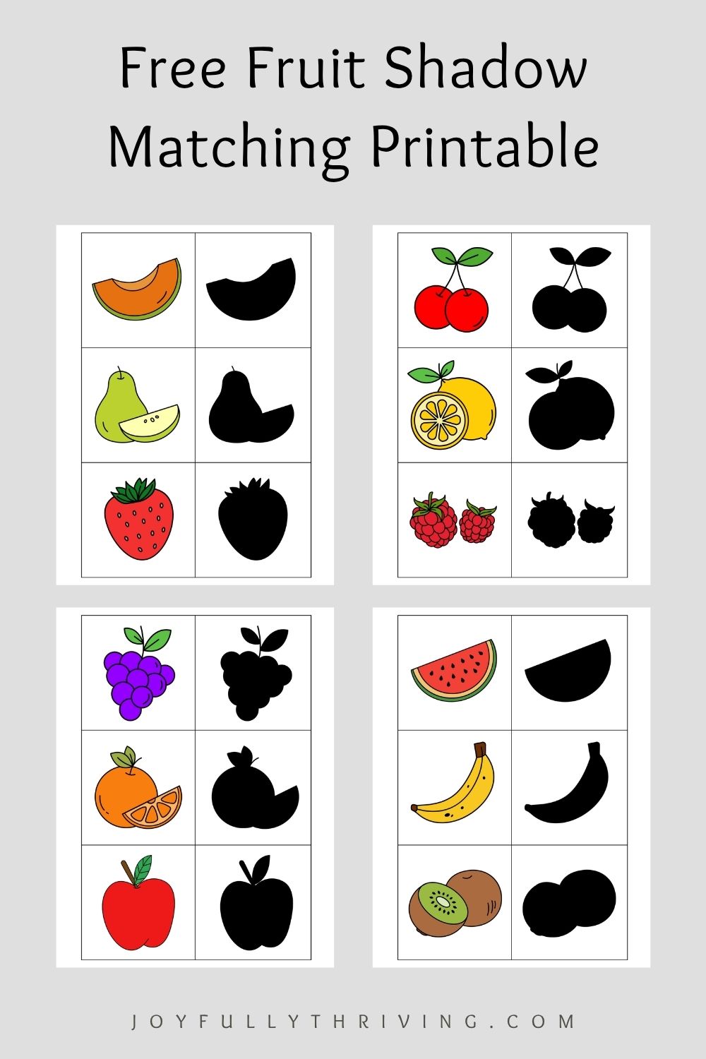 fruit shadow matching game