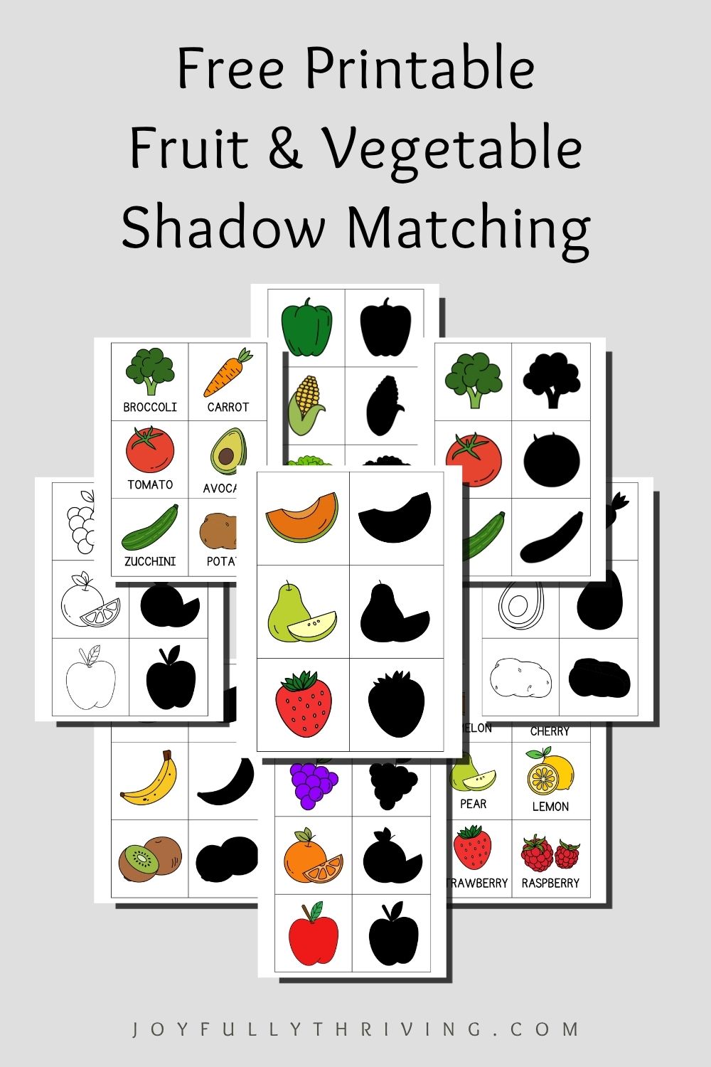 Free fruit and vegetable shadow matching printable for preschool