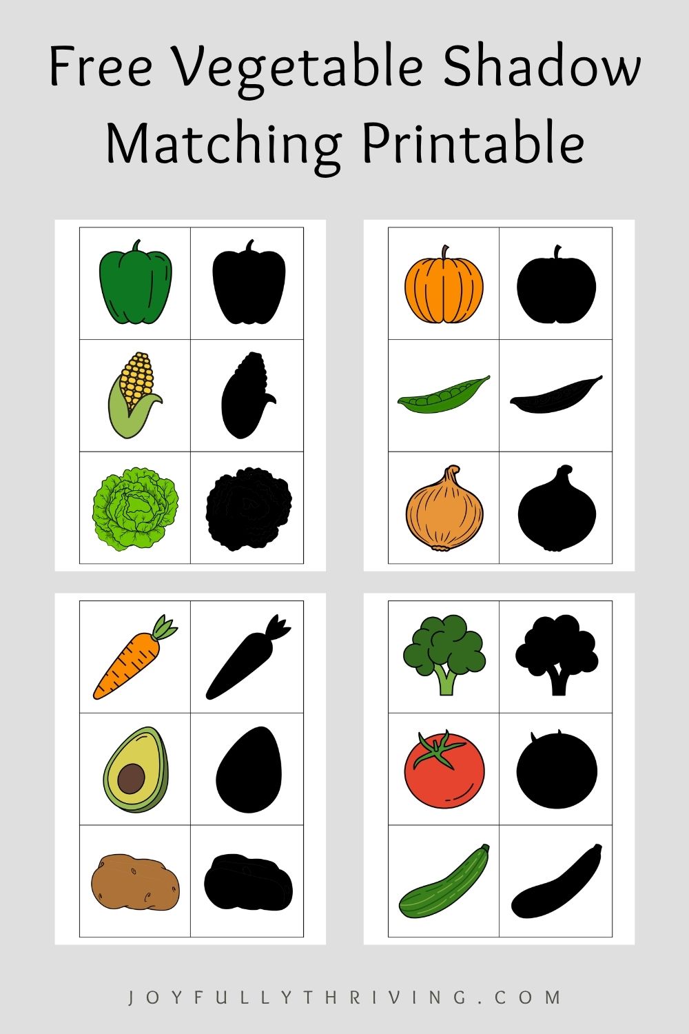 vegetable shadow matching