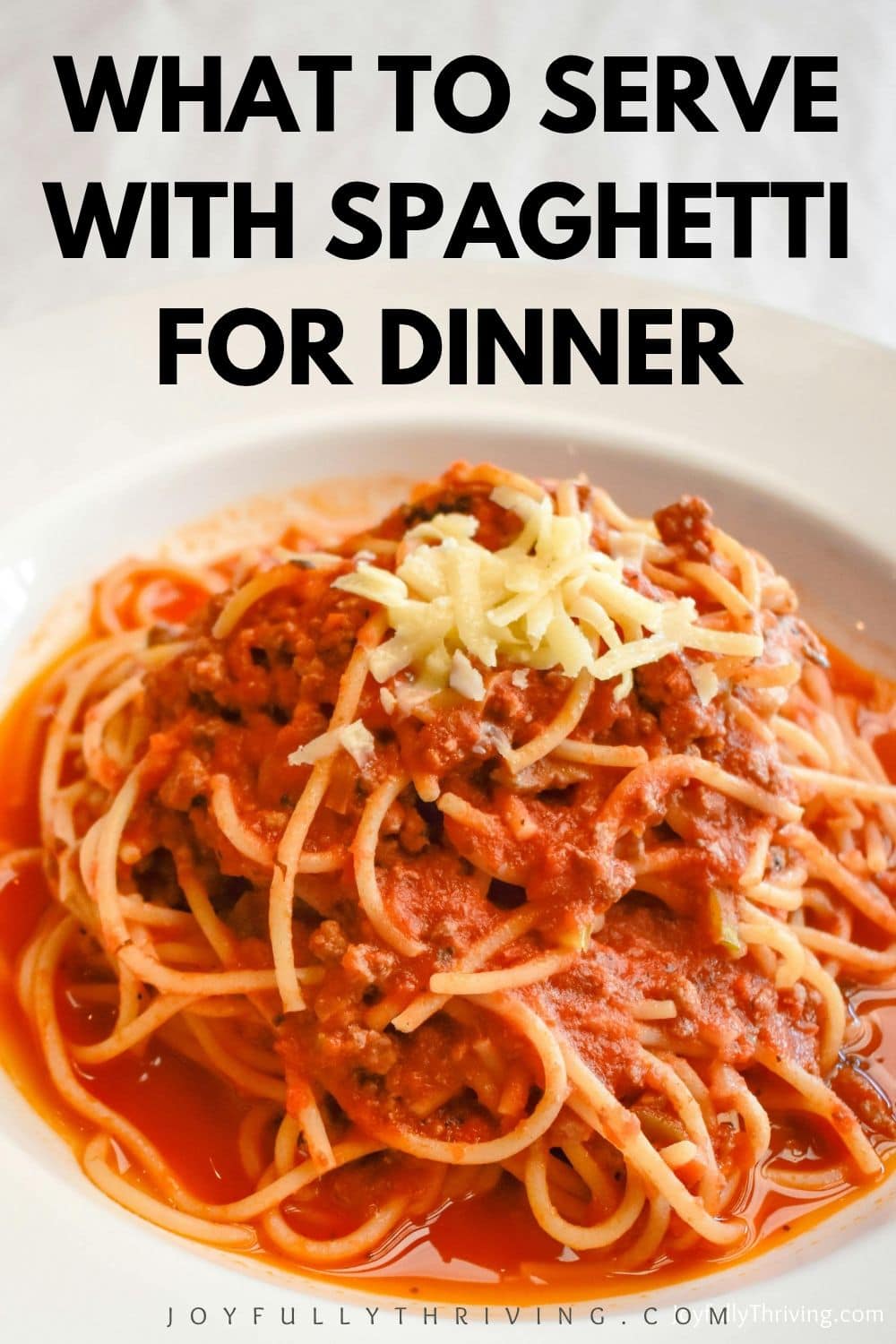 Bowl of Spaghetti
